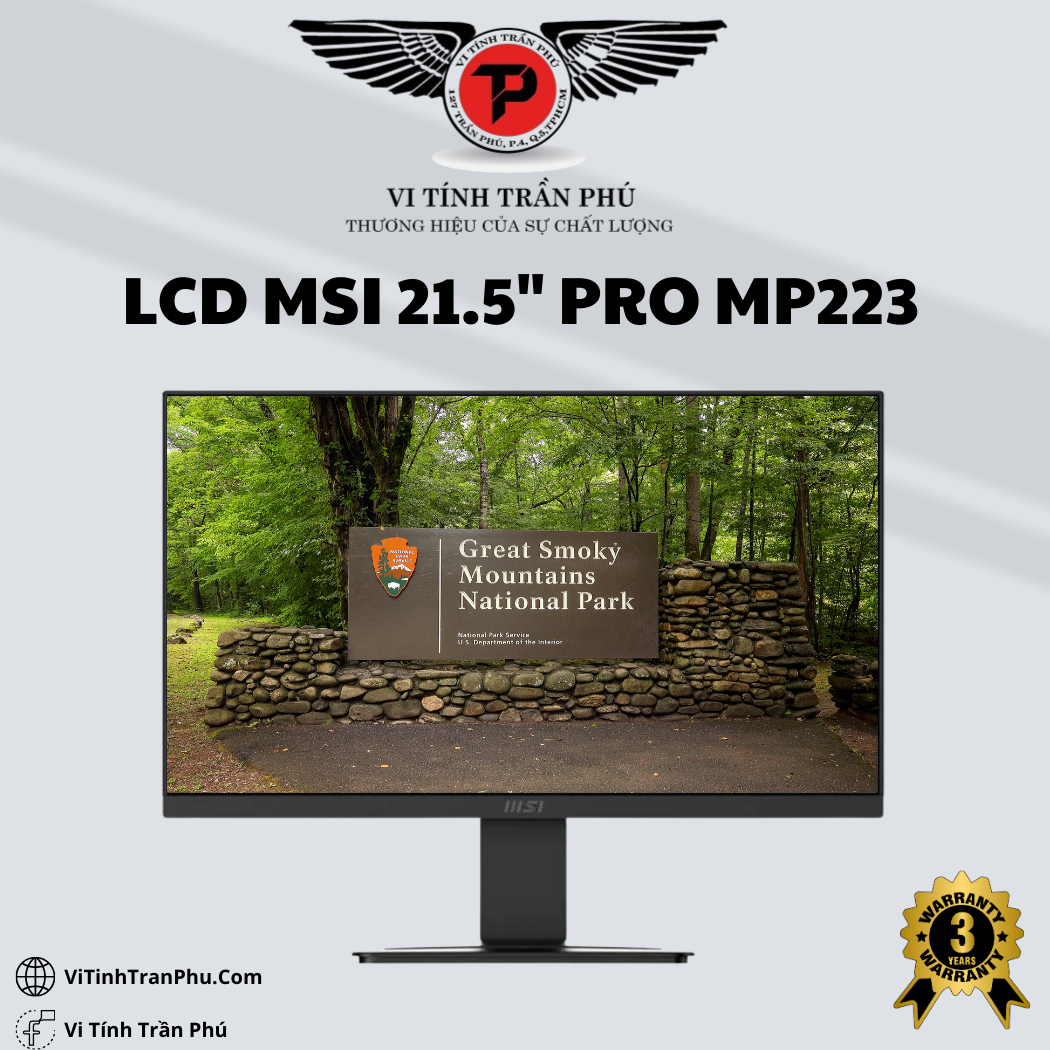 Màn Hình LCD MSI PRO MP223 FHD VA 100Hz 22 inch